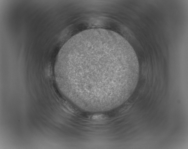 X0000062130173200512301511