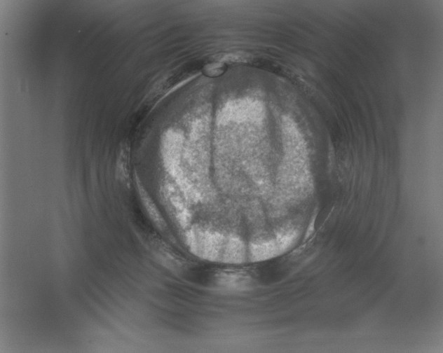 X0000062130175200512301511