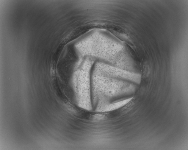 X0000062130176200512301511