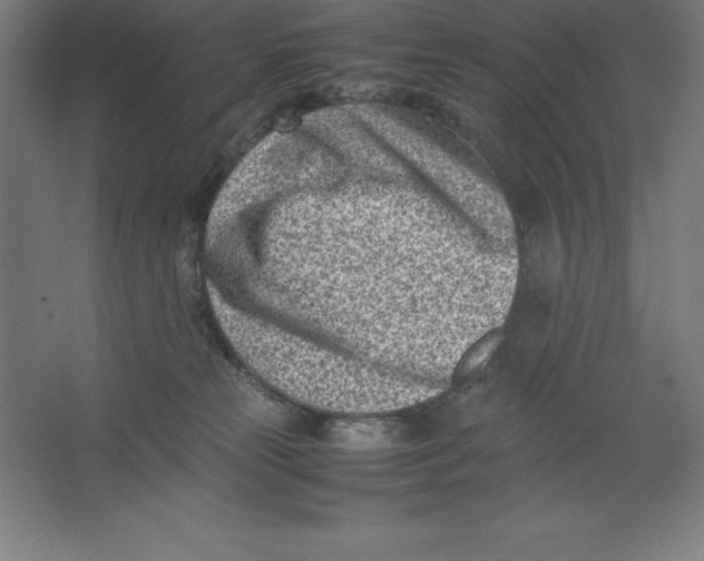 X0000062130181200512301511