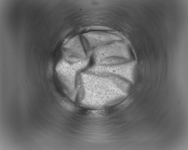 X0000062130188200512301511