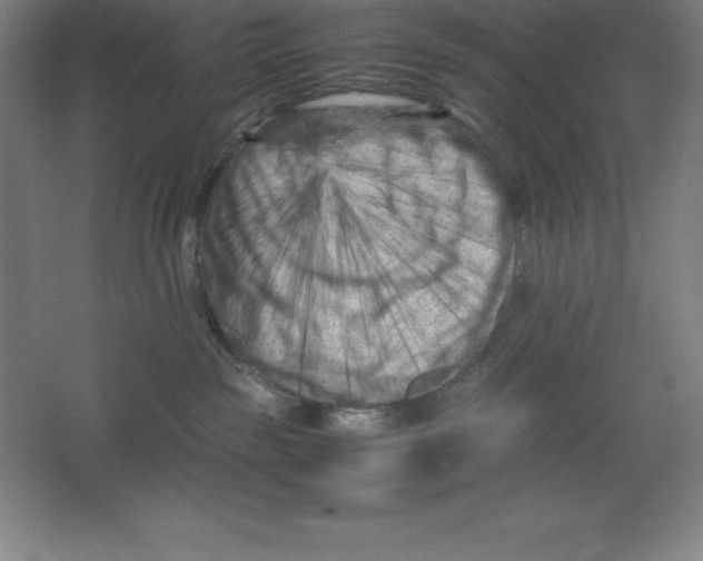 X0000062130189200512301511