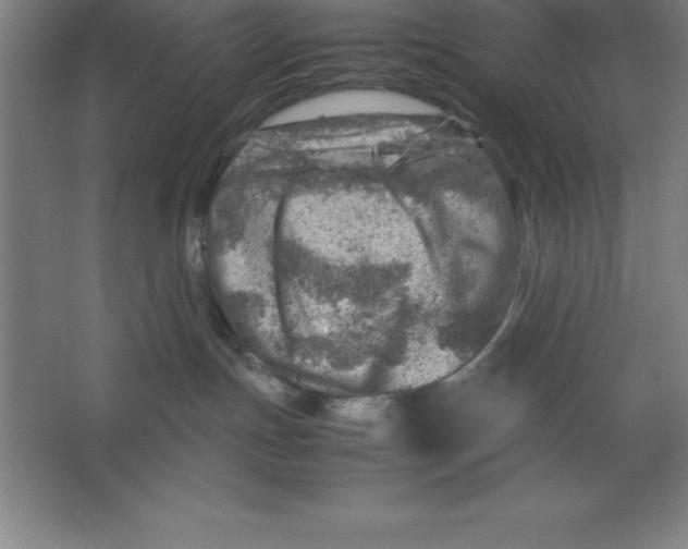 X0000062130191200512301511