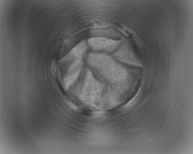 X0000062130192200512301511