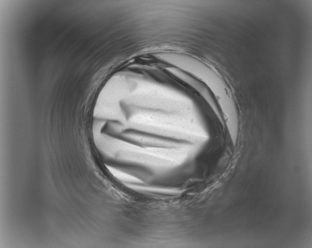 X0000062130193200512301510