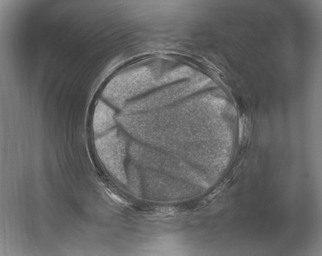 X0000062130195200512301510