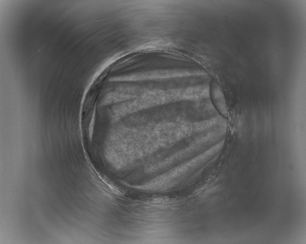 X0000062130196200512301510