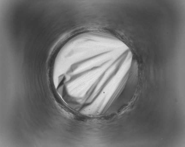 X0000062130197200512301510