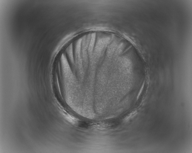 X0000062130199200512301510