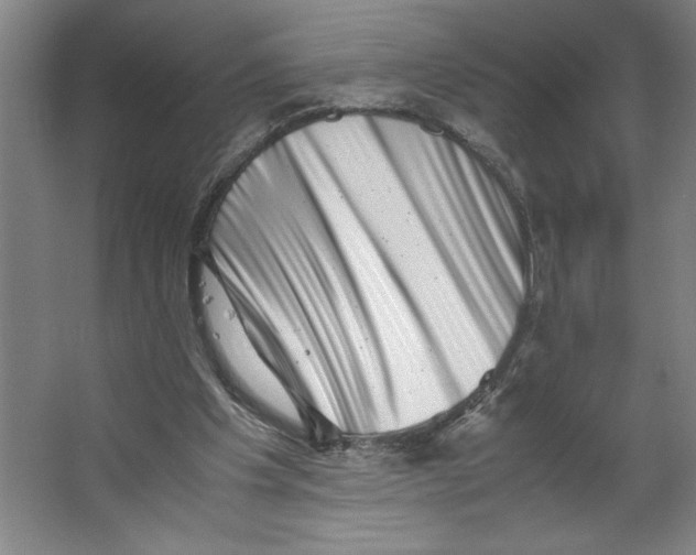 X0000062130201200512301510