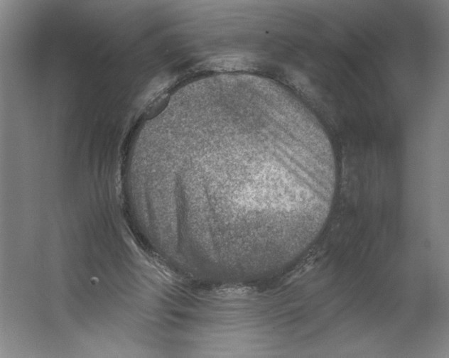 X0000062130202200512301510