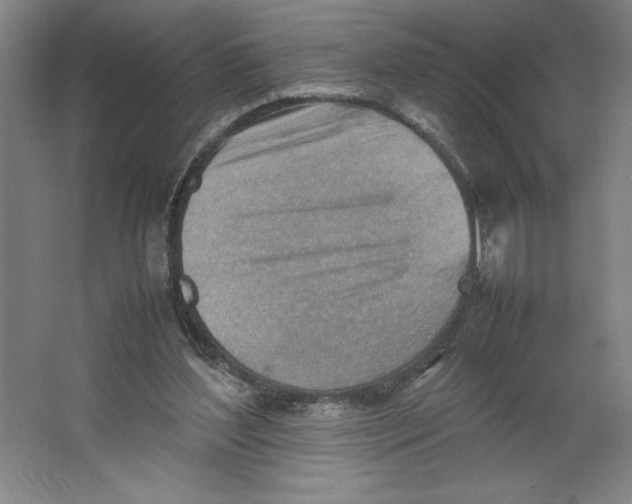 X0000062130204200512301510