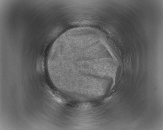 X0000062130206200512301510