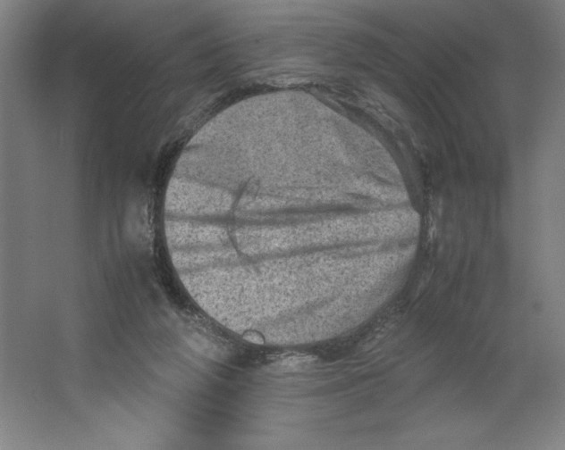 X0000062130210200512301510