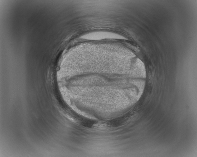 X0000062130211200512301510