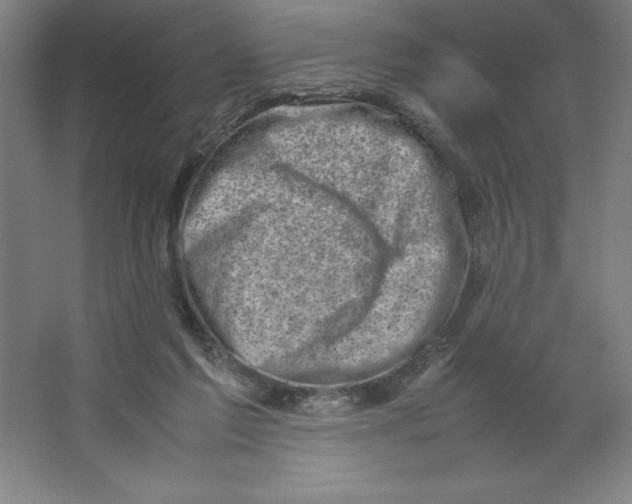 X0000062130213200512301510