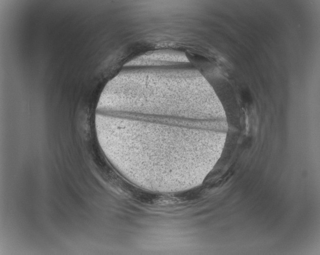 X0000062130215200512301510