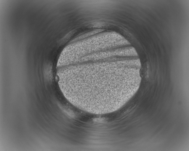 X0000062130216200512301510