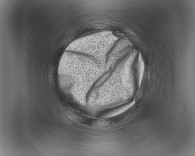 X0000062130217200512301510