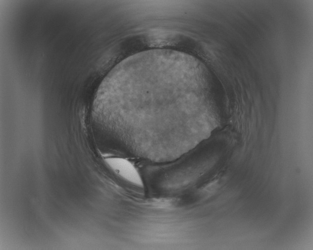 X0000062130219200512301510