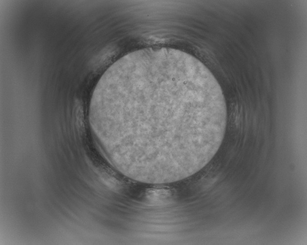 X0000062130220200512301510