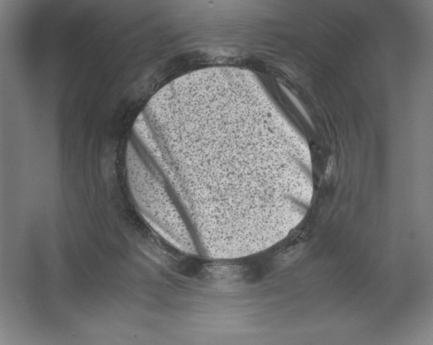 X0000062130221200512301510