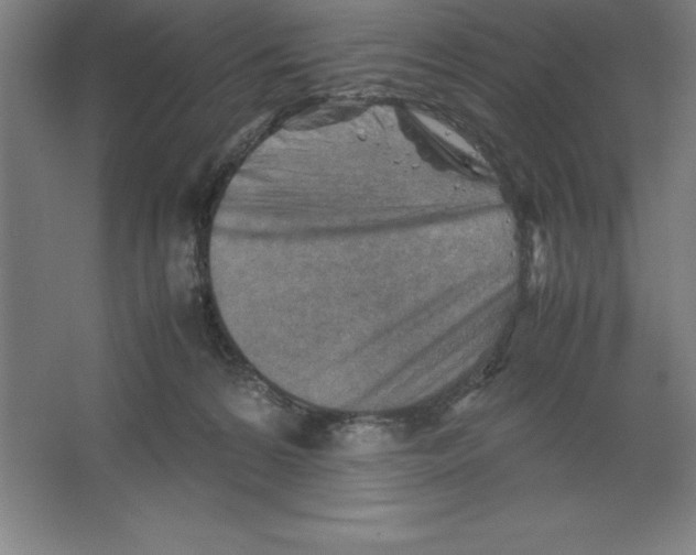 X0000062130224200512301510