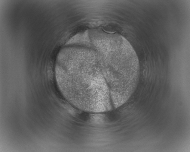 X0000062130226200512301509