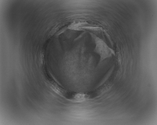 X0000062130227200512301509