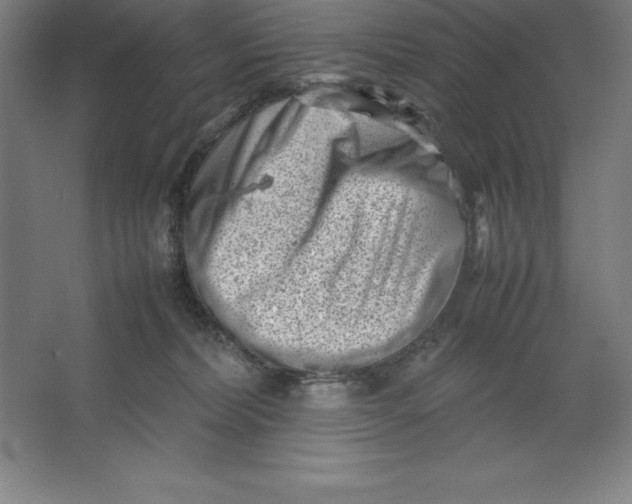 X0000062130228200512301509