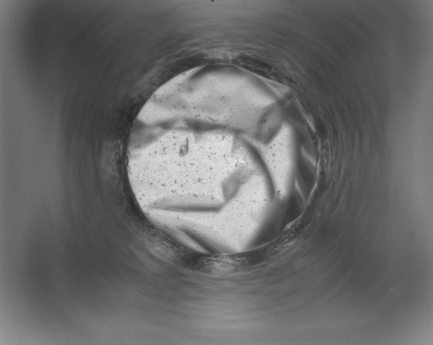 X0000062130229200512301509