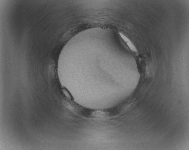 X0000062130231200512301509