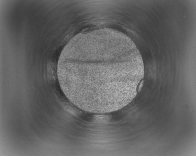 X0000062130234200512301509