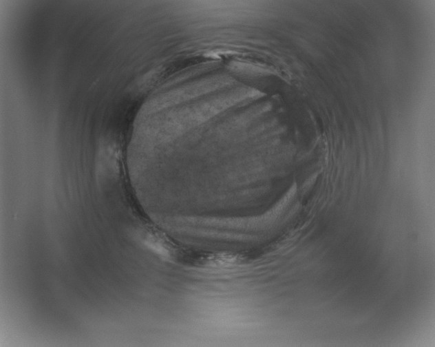 X0000062130235200512301509