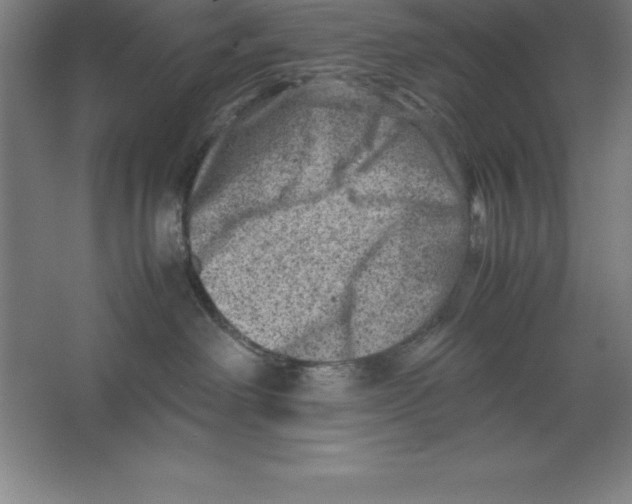 X0000062130238200512301509