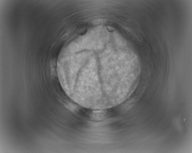 X0000062130240200512301509