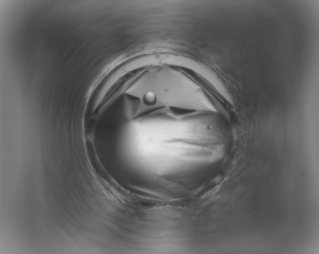 X0000062130244200512301508