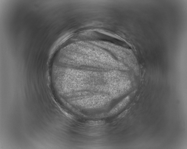 X0000062130245200512301509