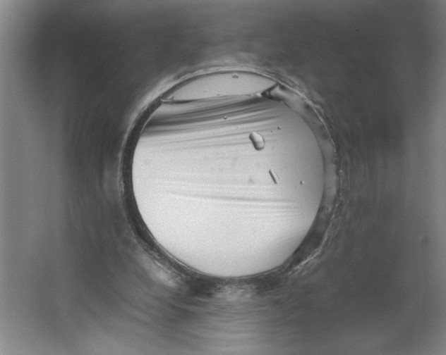 X0000062130248200512301509