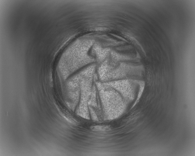 X0000062130251200512301509