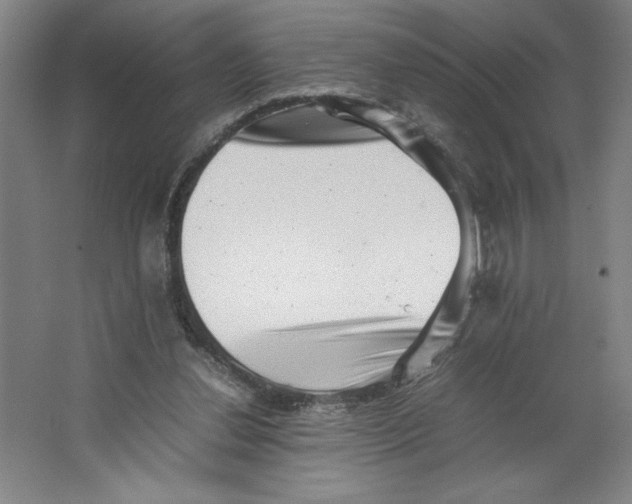 X0000062130252200512301509