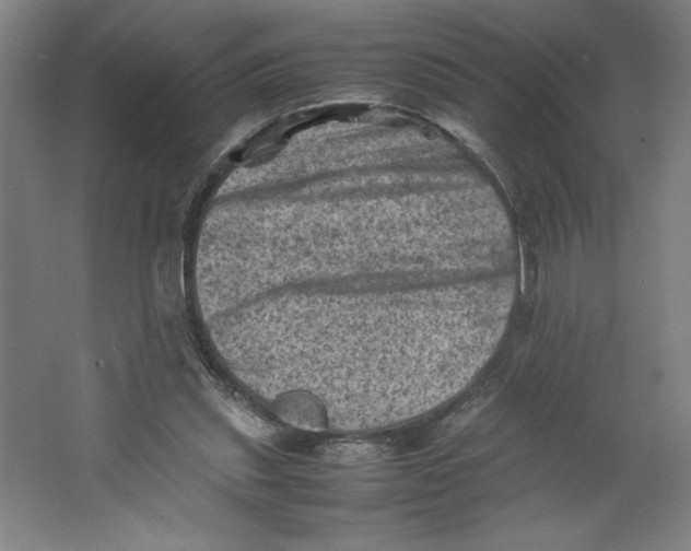 X0000062130253200512301509