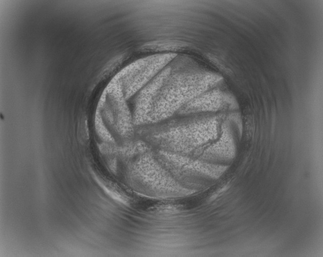 X0000062130254200512301509