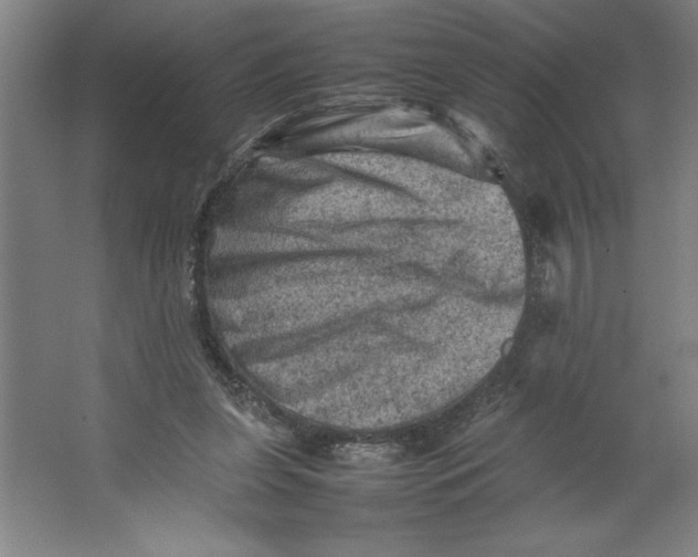 X0000062130255200512301509