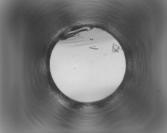 X0000062130256200512301509