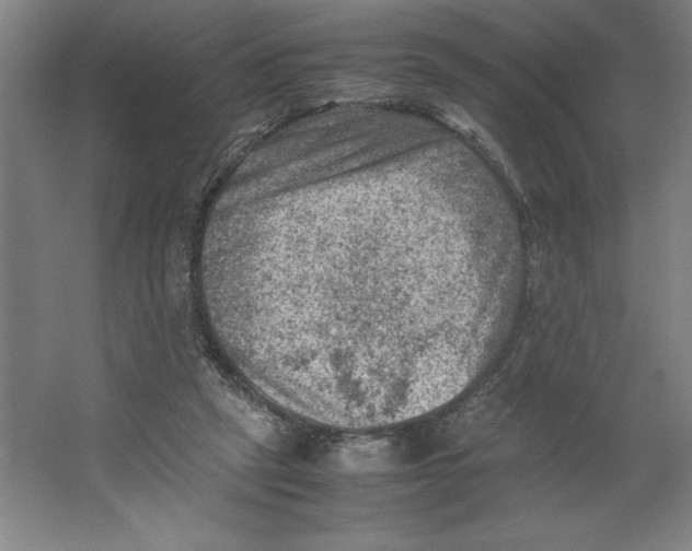 X0000062130257200512301509