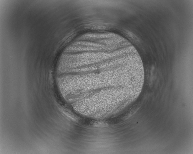 X0000062130258200512301509