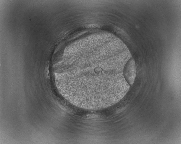 X0000062130259200512301509