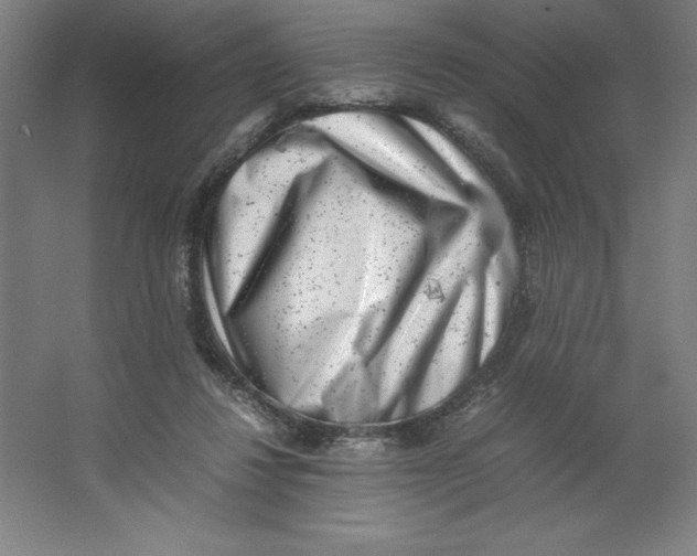 X0000062130260200512301509