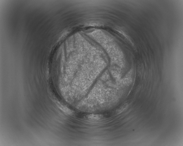 X0000062130261200512301509